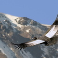 E07215FT3 R AV