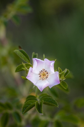 F69862 FE