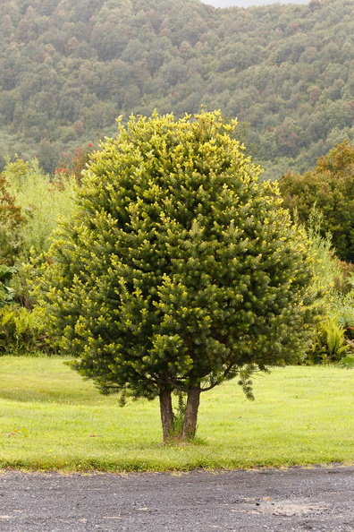 F28286_FN.jpg