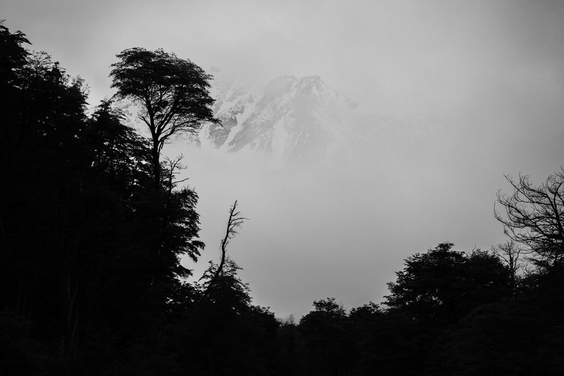 F61992-BW-F_PN.jpg