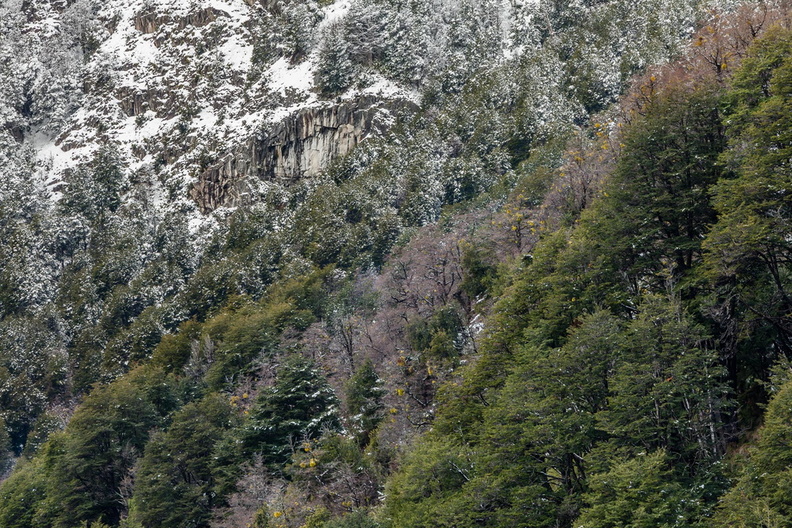 F74265_PN.jpg