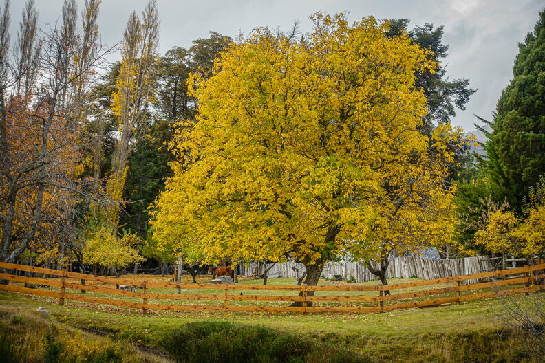 F83010 PR